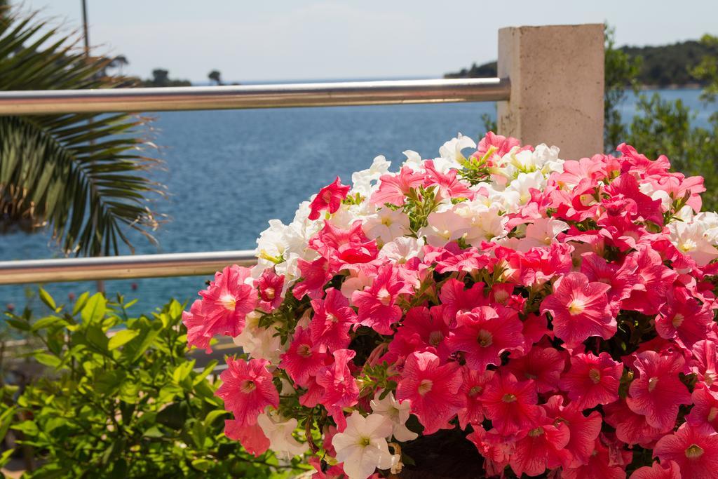 Apartments Villa Julija Mali Lošinj Rum bild